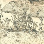 Van_gogh_Thistles_Along_the_Roadside_vgm_f1466_jh1552.jpg