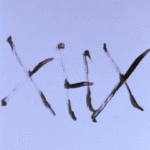20221202_190824.gif